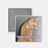 Katzenwut Magnet (Vorderseite/Rückseite)