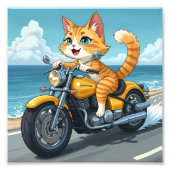 Katzenzeit Fotodruck (Vorne)