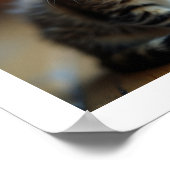 Katzenzeit Poster (Ecke)