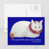 Katzenzeit Postkarte (Vorne/Hinten)