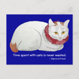 Katzenzeit Postkarte