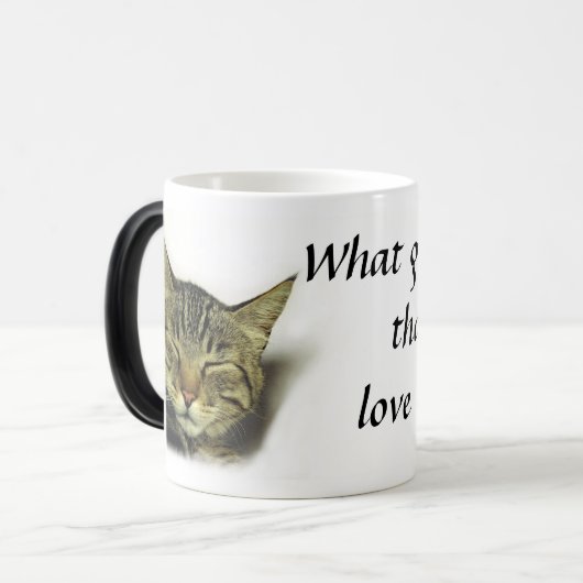 Katzenzitat-Tasse (Farbändern) Verwandlungstasse (Vorderseite Links)