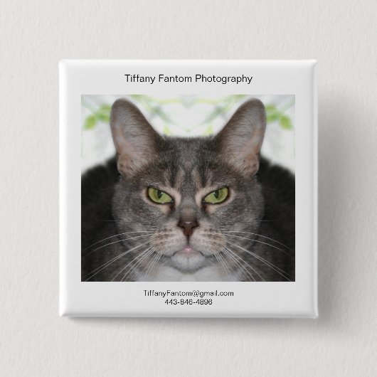 Katzepromo-Stück Button (Vorderseite)