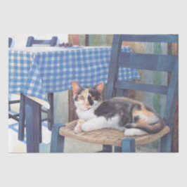 KATZGEWEBPAPIER SEIDENPAPIER