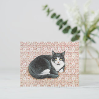 KATZKARTE POSTKARTE