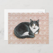 KATZKARTE POSTKARTE (Vorne/Hinten)
