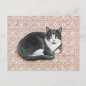KATZKARTE POSTKARTE (Vorderseite)