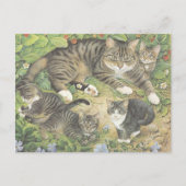 KATZKARTE POSTKARTE (Vorderseite)