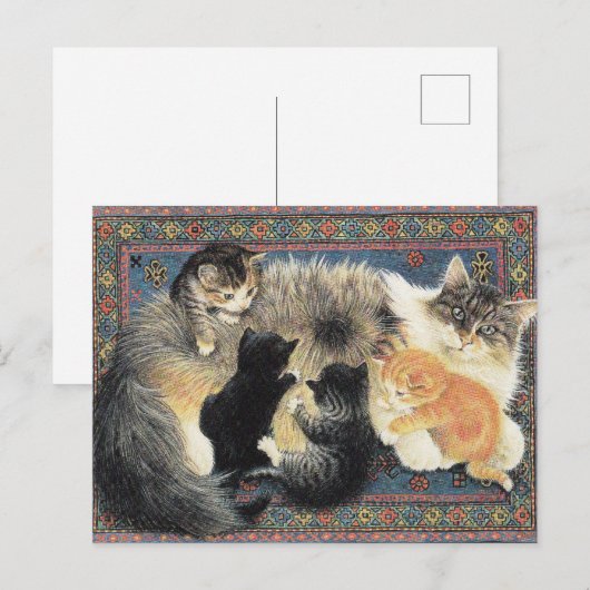 KATZKARTE POSTKARTE (Vorne/Hinten)