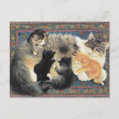 KATZKARTE POSTKARTE (Vorderseite)