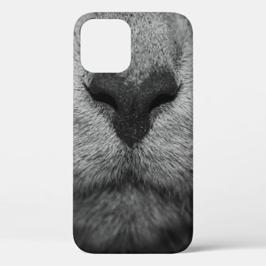 KATZKATZE IN SCHWARZ UND WEISS Case-Mate iPhone HÜLLE (Rückseite)