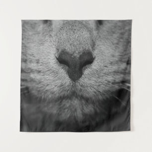 KATZKATZE IN SCHWARZ UND WEISS WANDTEPPICH