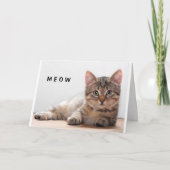 **KATZLOVERS** FUNNY BIRTHDAY GREETING CARD KARTE (Vorderseite)