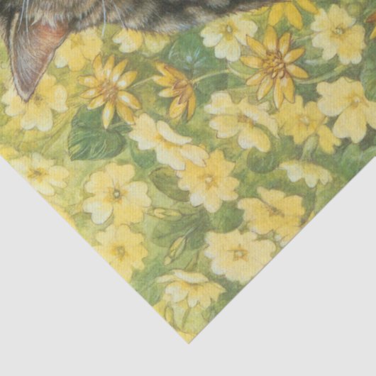 KATZLOVERS TISSUPAPIER SEIDENPAPIER (Detail)