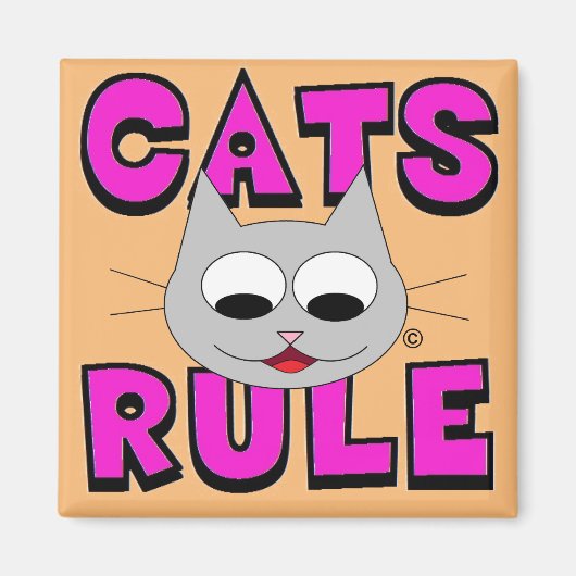 KATZREGEL Niedliche Katzendecke Magnet (Vorne)