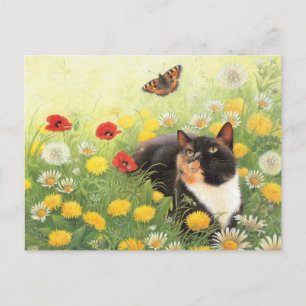 KATZSCHMERZPLATTE POSTKARTE