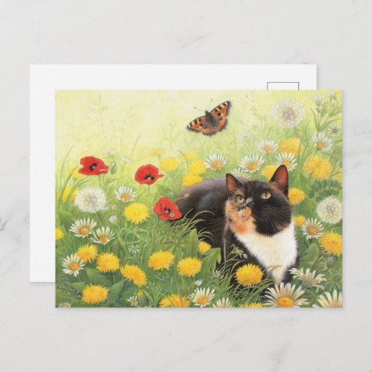 KATZSCHMERZPLATTE POSTKARTE (Vorne/Hinten)