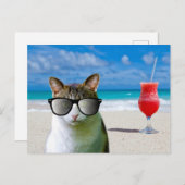 KATZSCHUTZSONNEN AUF DEN STRANDPOSTKARTEN POSTKARTE (Vorne/Hinten)