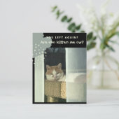 Kätzst du mich mit Cat auf Perch? Postkarte (Stehend Vorderseite)