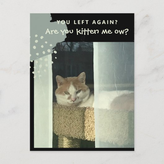 Kätzst du mich mit Cat auf Perch? Postkarte (Vorderseite)