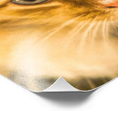 KATZSTARE FÜR MAINE COON FOTODRUCK (Ecke)