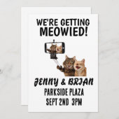 KATZWÄSCHE EINLADUNGEN (Vorne/Hinten)