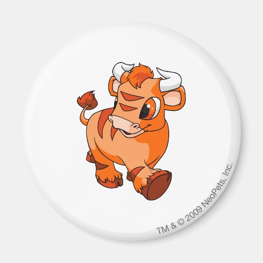 Kau Orange Magnet (Vorne)