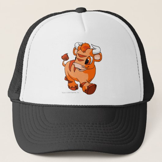 Kau orange truckerkappe (Vorderseite)