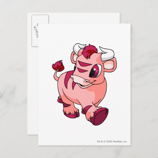 Kau Pink Postkarte (Vorne/Hinten)