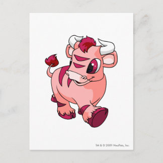 Kau Pink Postkarte