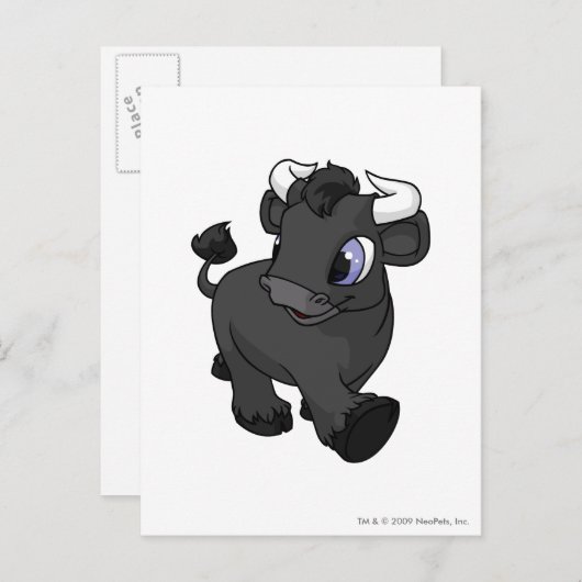 Kau Shadow Postkarte (Vorne/Hinten)