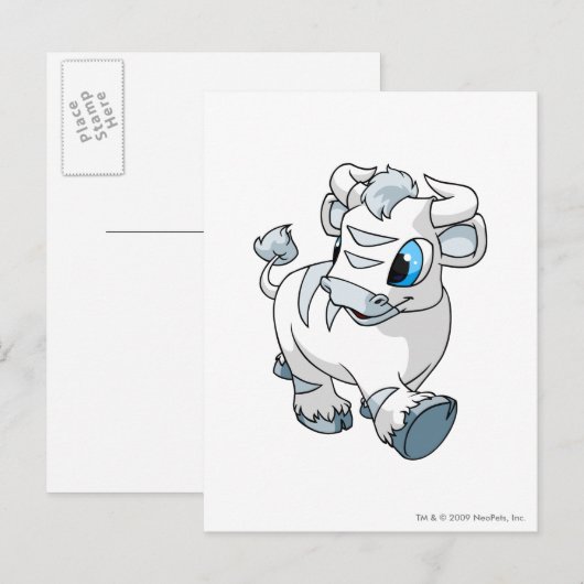 Kau White Postkarte (Vorne/Hinten)