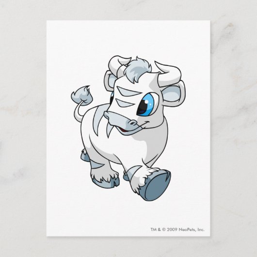 Kau White Postkarte (Vorderseite)