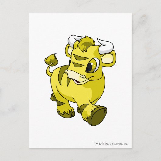 Kau Yellow Postkarte (Vorderseite)