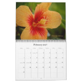 Kauai 2012 kalender (Feb 2027)