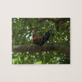 Kauai-Hahn, der im Baum - Hawaii sitzt Puzzle (Horizontal)