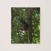 Kauai-Hahn, der im Baum - Hawaii sitzt Puzzle (Vertikal)