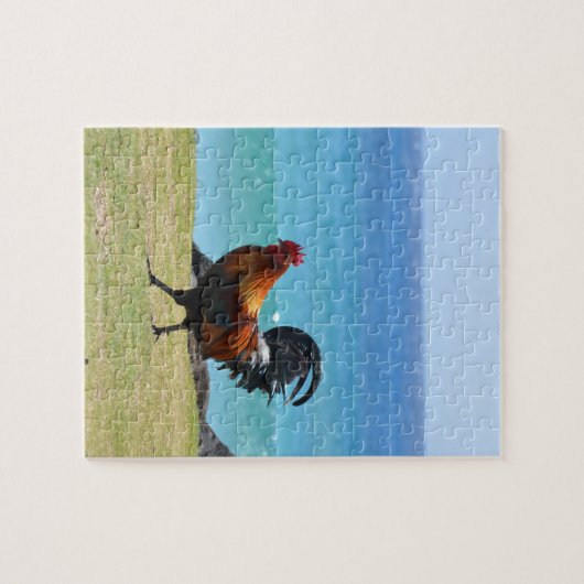 Kauai-Hahn Puzzle (Horizontal)