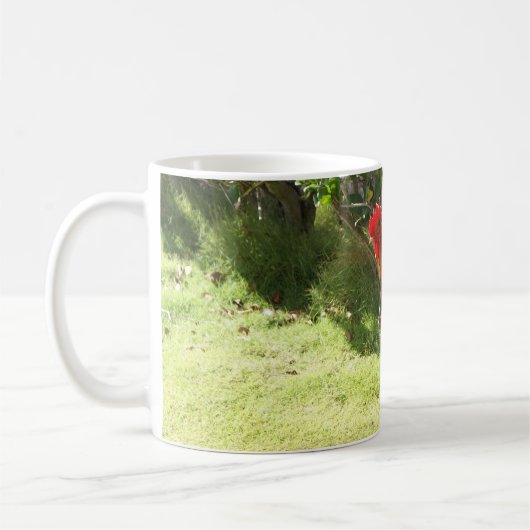 Kauai-Hahn-Tasse Kaffeetasse (Links)