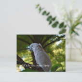 Kauai Hawaii Bird in einem Baum Postkarte (Stehend Vorderseite)