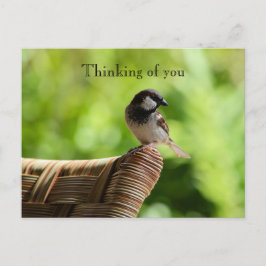 Kauai Hawaii Bird On Chair Denken Sie an Sie Postkarte