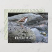 Kauai Hawaii Bird on Rocks Denken Sie an Sie Postkarte (Vorne/Hinten)