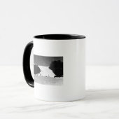 Kauai, Hawaii - Blick auf die Barking Sands Tasse (Vorderseite Links)