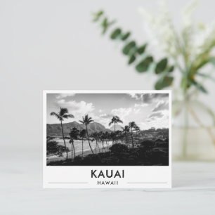 Kauai Hawaii Kalapaki Beach Schwarz-Weiß Postkarte