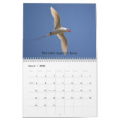 Kauai Hawaii Kalender (Mär 2026)