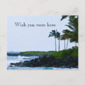 Kauai Hawaii Koloa Ocean Palm Trees Postkarte (Vorderseite)