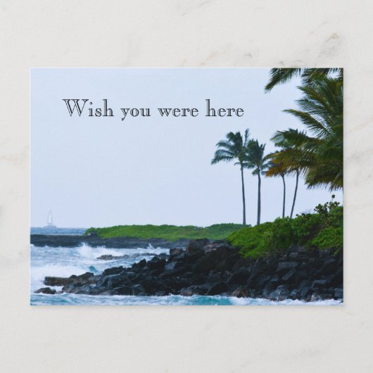 Kauai Hawaii Koloa Ocean Palm Trees Postkarte (Vorderseite)