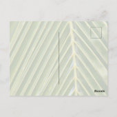 Kauai Hawaii Koloa Ocean Sunset Postkarte (Rückseite)