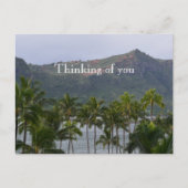 Kauai Hawaii Lihue Palm Trees Kalapaki Beach Postkarte (Vorderseite)