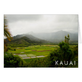 Kauai, Hawaii ・ Lush Fields ・ Landschaft